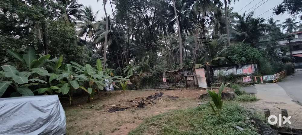 1.2 KM from Guruvayur temple Plot for sale