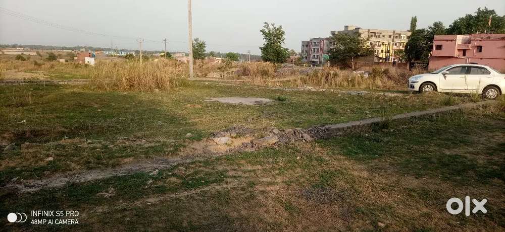 Cnt free General plot