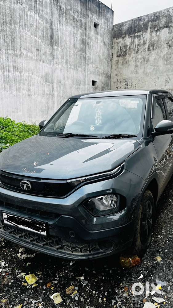 Tata Punch 2024 Petrol well maintenance