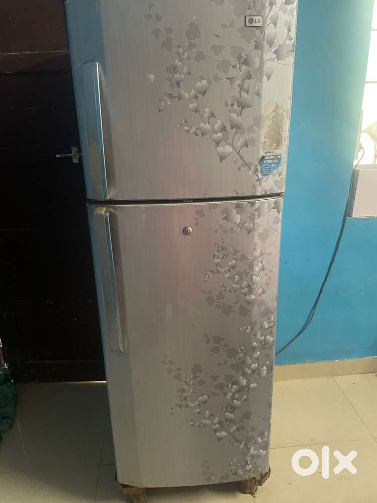 Double door refrigerator LG