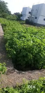 240 Sq.yd  land