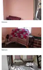 Room mate male