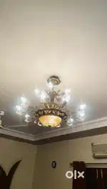 shandiliar