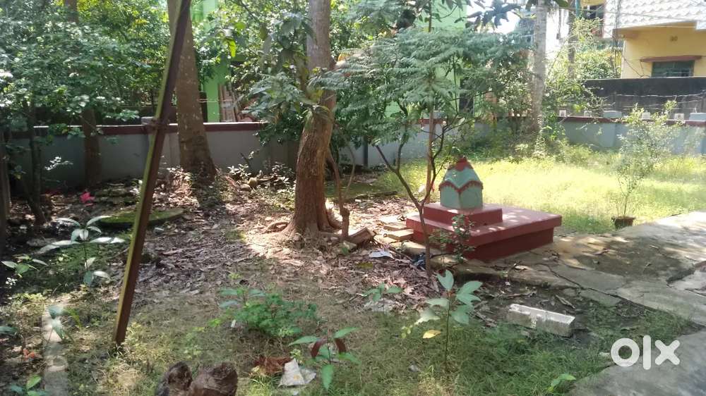 HOUSE SALE PANSKURA - EDUCATED ENVIRONMENT