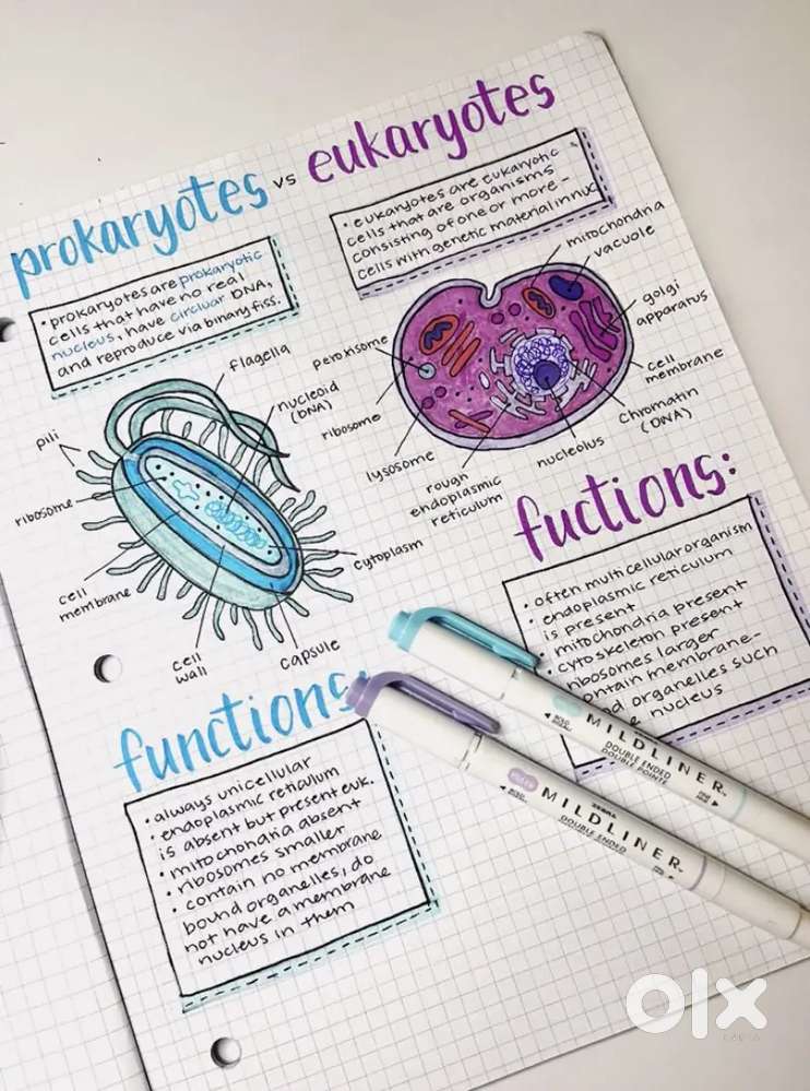 Home tutions for Topper level understanding of subjects