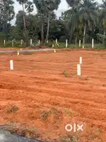 Dtcp approved land for sale in chatrapaatti