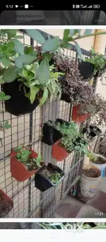 Garden Items