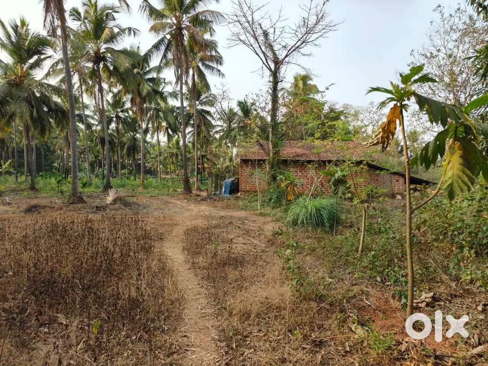 4000/- per sqmt (negotiabl)