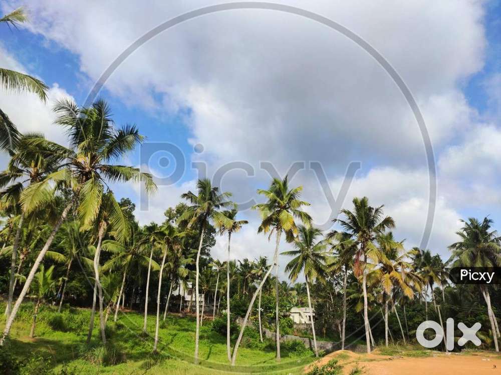 Service center , workshop