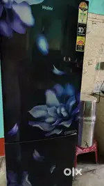 HAIER REFRIGERATOR 256 Litres