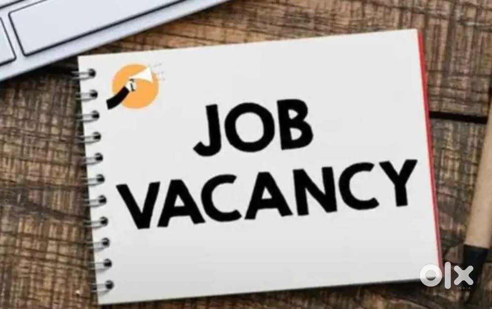 Work Opportunity for Fresher and Experience for office work