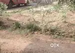 സ്റ്റേറ്റ് ബാങ്കിന്റെ ഓപ്പോസിറ്റ്