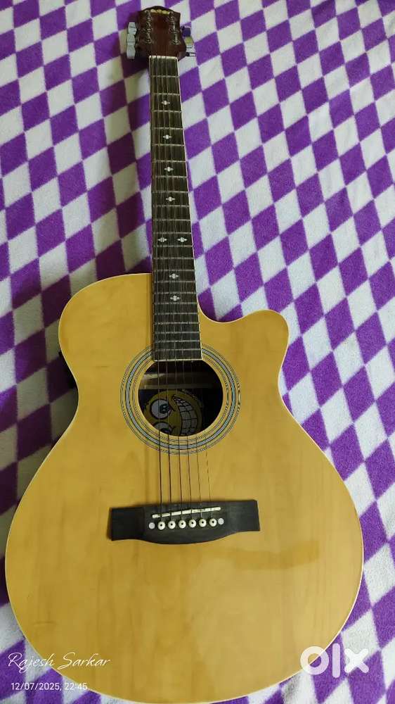 Hertz JZA 4010 guitar
