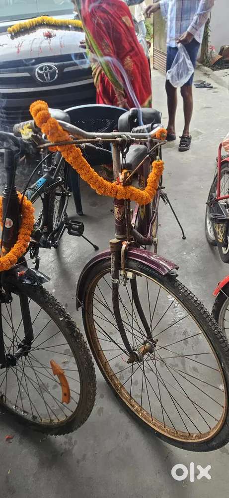 Cycle AVON