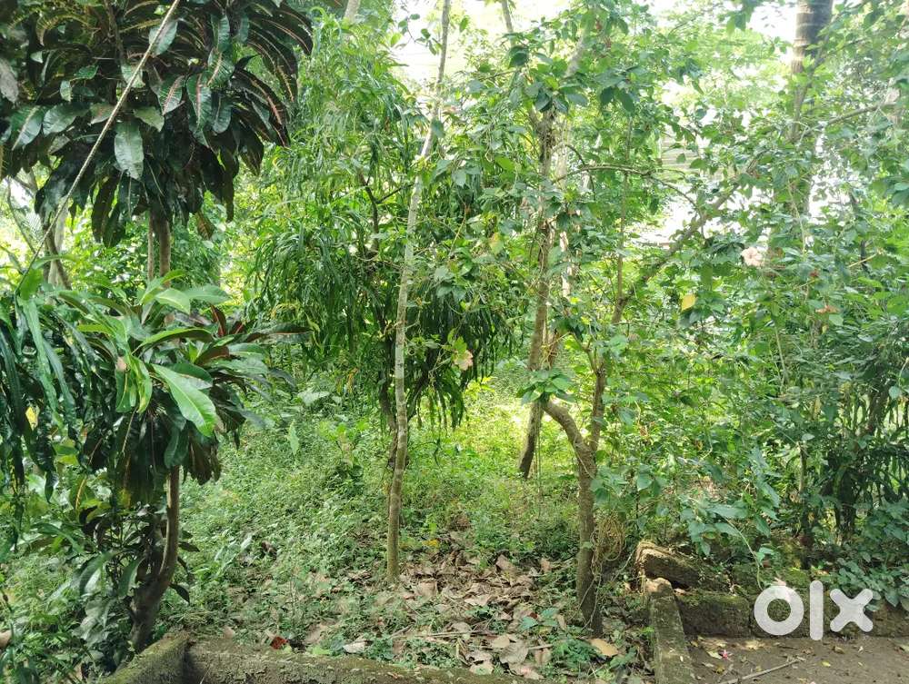 4 cent land for sale