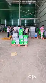 Required boys packing jobs Location bus stand jalandher