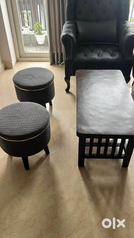 Furniture- 2 seater sofa 1 maharaja chair and center table with 2 puff