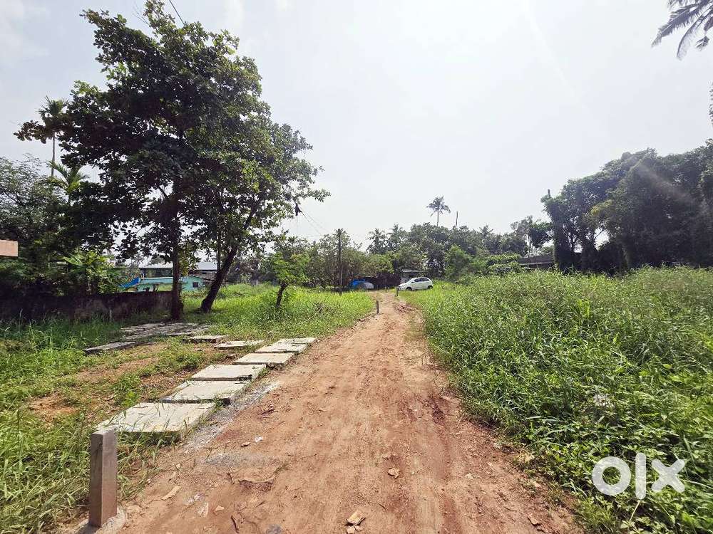 Residential & Plots for Sale – Cheranallur, Kochi