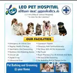 Pet groomers and attenders