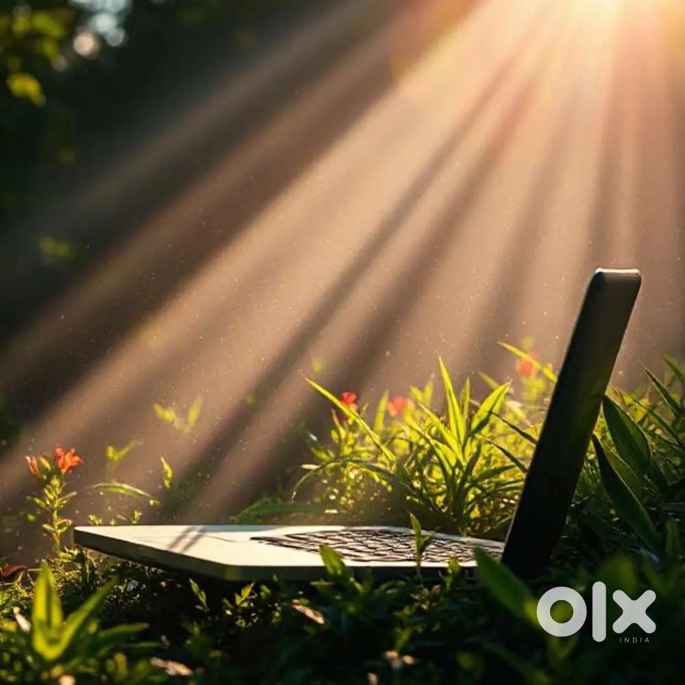 Laptop,Pc, printer all service