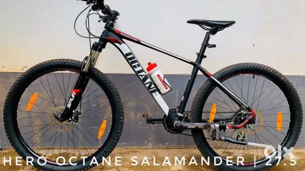 Brand New Octane Salamander