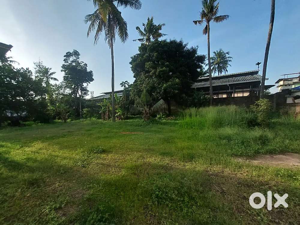 Main road second plot at Thrikkakara