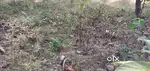 Residential land near Pynnumoodu junction mavelikara