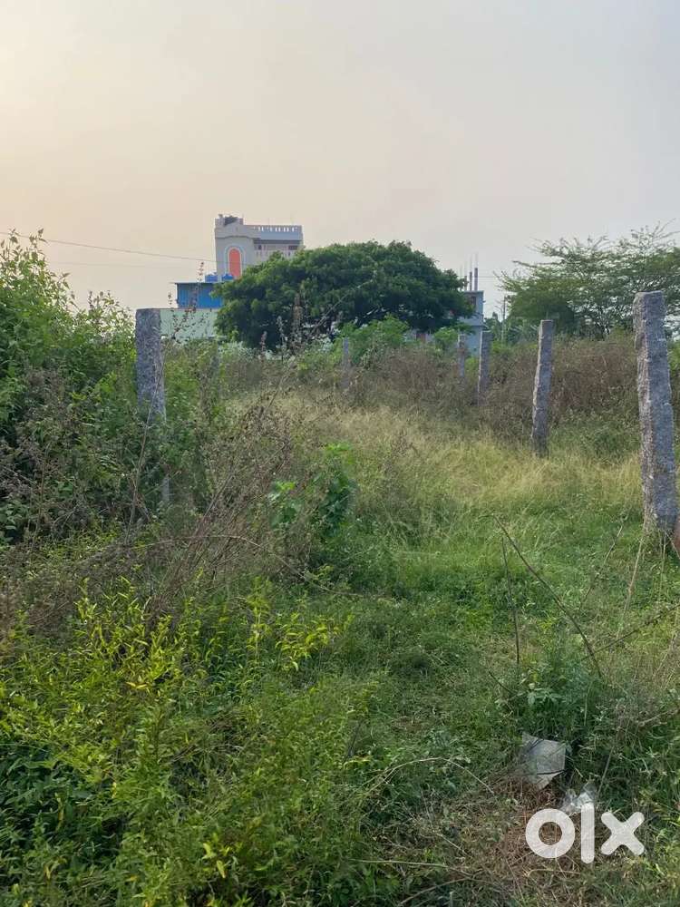 Taurus Pg Properties