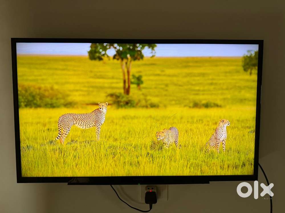 Sony Bravia TV  43 inch LED TV