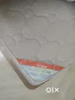 Kurl on ortho magic mattress within warranty