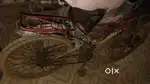 Avon cycle