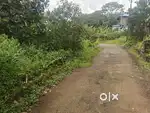 5 Cent Residential Land for Sale at Chembarakky – ₹5 Lakhs/Cent