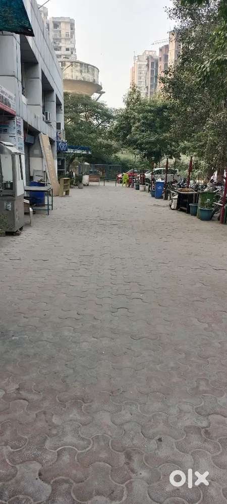 Digital markiting expert