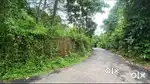 2 PLOTS OF 12 CENT - 1.5KM FROM HIGHWAY - IMMEDIATE SALE