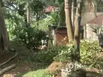 Plot with House Near Kottiyam