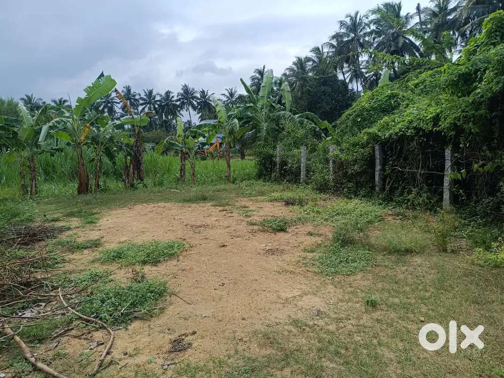 Plot for sale at Katpadi Kalpudhur Near Sunbeam School