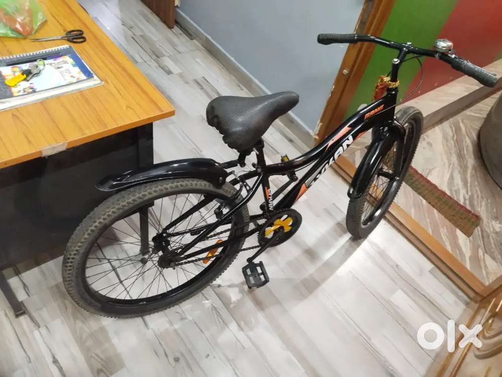 BSA Gang 2023 model Bicycle