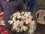 near about   Chandigarh   shivalik vihar