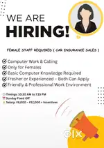 Job Opportunity for Females – Car Insurance Sales