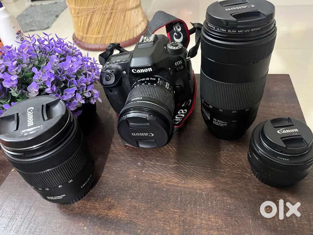 Canon 80D with Original four canon lenses