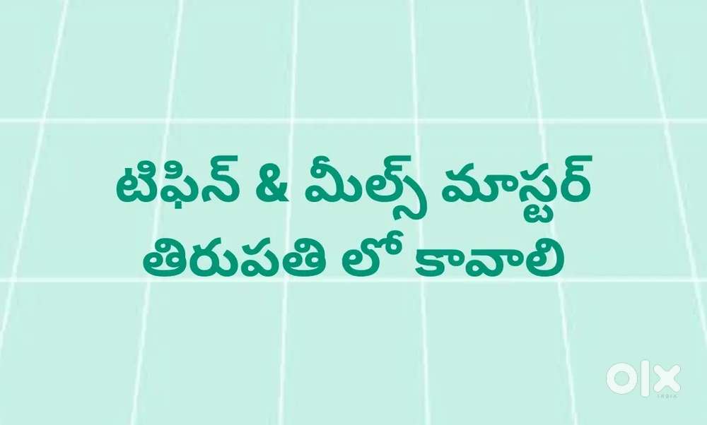 TIFFIN & MEALS MASTER,  FAST FOOD MASTER