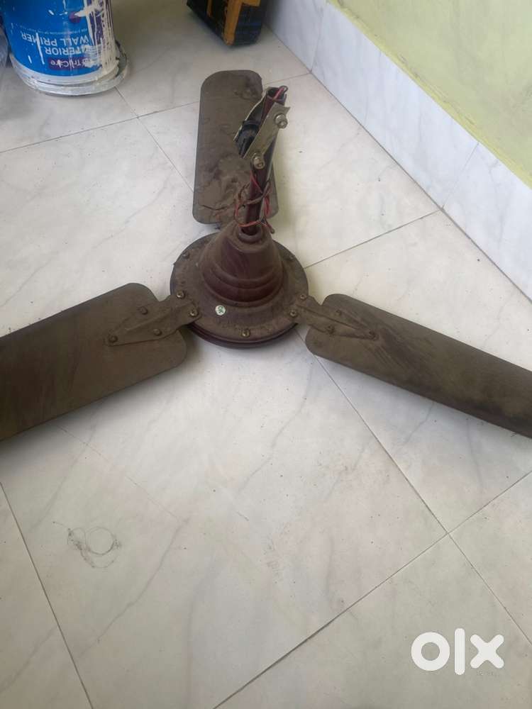 Ceiling fan