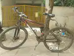 Cosmic branded bicycle