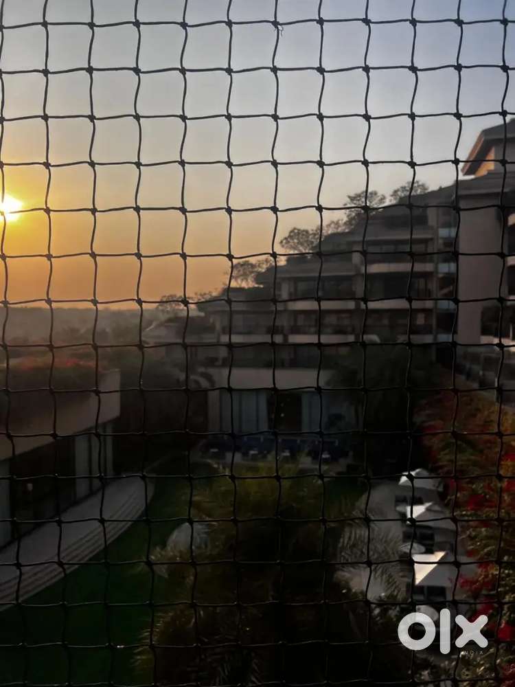 Fresher to experience Girls needed for data entry and office support