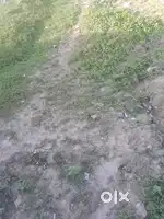 5 bigha khet for sale in saypur thitoi near iglas