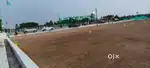 திருச்சி டு புதுக்கோட்டை ரோடு பாரதிதாசன் யூனிவர்சிட்டி