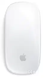 APPLE  Magic Mouse Box Piece