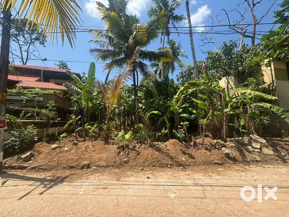 6cent plot in kallampally, Sreekariyam, Trivandrum