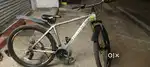 Toronto M20 Cycle very urgent sell money required