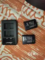 Sony crop sensor battery